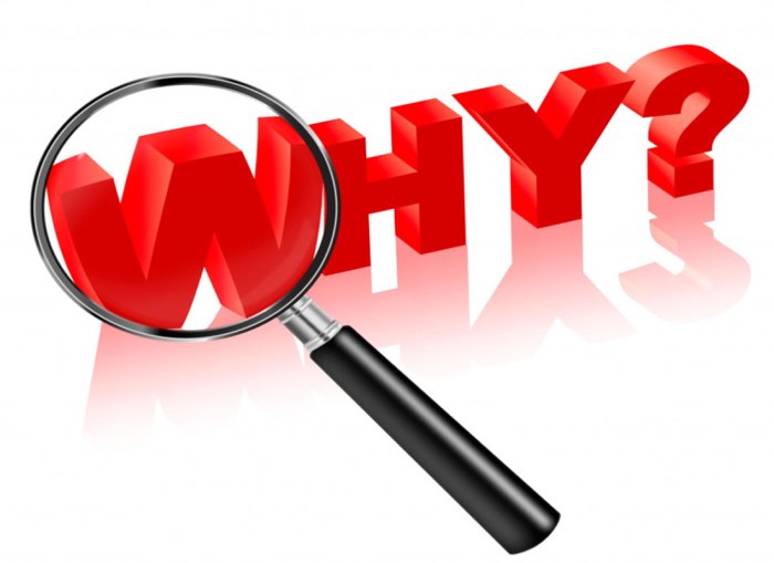 The Why Behind the Why – Causes Behind Gifted and 2e Kids’ Challenging ...