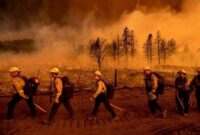 Wildfires in California