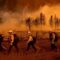 Wildfires in California