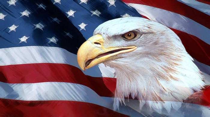 American Flag Wallpapers Images Photos Pictures Backgrounds American journalism today