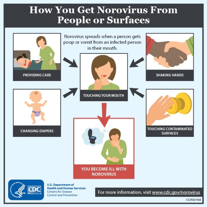 Norovirus | Disease Outbreak Control Division