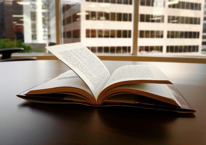Photo gratuite: Livre, Lire, Lecture - Image gratuite sur Pixabay - 1150083 Education reform news