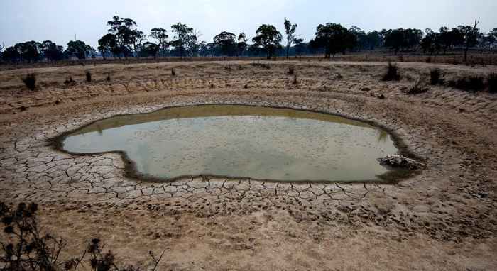 Bundaberg had driest-ever year in 2019 – Bundaberg Now Drought conditions US