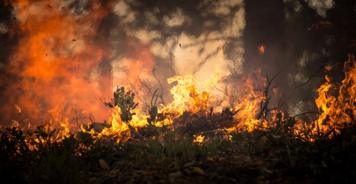 Fire Season in the time of COVID-19 encore presentation | KBOO Wildfires in California