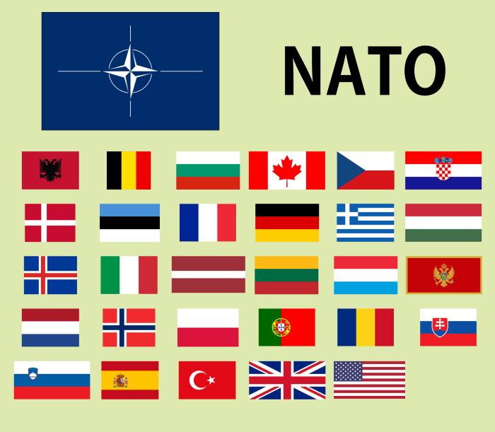 NATO and America
