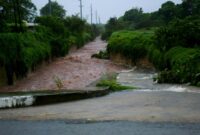 Hurricane Season Forecast: What to Expect This Year