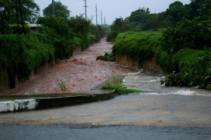 Hurricane Season Forecast: What to Expect This Year