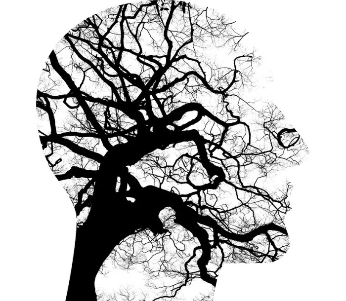 Correction: Patterns of Mental Health Service Utilisation: A population ...